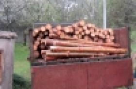 Ոստիկանությունը հորդորում է՝ ամեն մի ծառի կացնով մոտենալիս չմոռանալ էկոլոգիական անդառնալի հետևանքների մասին (ՏԵՍԱՆՅՈՒԹ) Ոստիկանությունը հորդորում է՝ ամեն մի ծառի կացնով մոտենալիս չմոռանալ էկոլոգիական անդառնալի հետևանքների մասին (ՏԵՍԱՆՅՈՒԹ)