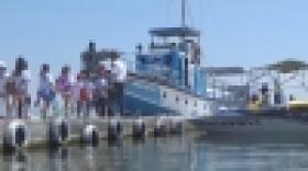 Ամառային անակնկալներ երեխաներին (ՏԵՍԱՆՅՈՒԹ)  Ամառային անակնկալներ երեխաներին (ՏԵՍԱՆՅՈՒԹ)