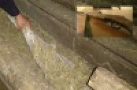Ոստիկանները հրացանը հայտնաբերեցին անասնագոմում (ՏԵՍԱՆՅՈՒԹ) Ոստիկանները հրացանը հայտնաբերեցին անասնագոմում (ՏԵՍԱՆՅՈՒԹ)