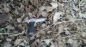 Գեղարքունիքի մարզում ոստիկանները հայտնաբերվել են հրազեն ու կասկածելի վնասվածքներով մեքենա (ԼՈՒՍԱՆԿԱՐՆԵՐ) Գեղարքունիքի մարզում ոստիկանները հայտնաբերվել են հրազեն ու կասկածելի վնասվածքներով մեքենա (ԼՈՒՍԱՆԿԱՐՆԵՐ)