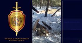 Ապօրինի ծառահատում «Սևան» ազգային պարկում․ հանցագործությունը բացահայտվել է, հարուցվել է քրեական գործ Ապօրինի ծառահատում «Սևան» ազգային պարկում․ հանցագործությունը բացահայտվել է, հարուցվել է քրեական գործ