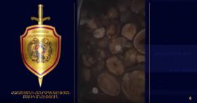 Գուգարքի ոստիկաններն ապօրինի ծառահատման դեպքեր են բացահայտել  Գուգարքի ոստիկաններն ապօրինի ծառահատման դեպքեր են բացահայտել