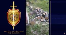 Ալավերդու ոստիկանները ապօրինի ծառահատման հերթական դեպքն են բացահայտել Ալավերդու ոստիկանները ապօրինի ծառահատման հերթական դեպքն են բացահայտել