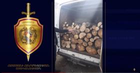 Սպիտակի ոստիկանները ապօրինի ծառահատման դեպք են բացահայտել Սպիտակի ոստիկանները ապօրինի ծառահատման դեպք են բացահայտել