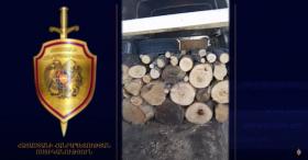 Ոստիկանության Կումայրիի բաժնի ծառայողներն ապօրինի ծառահատման դեպք են բացահայտել Ոստիկանության Կումայրիի բաժնի ծառայողներն ապօրինի ծառահատման դեպք են բացահայտել