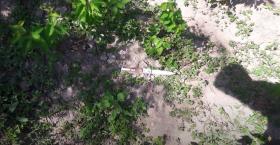 Դանակահարություն Մյասնիկյան գյուղում․ Բաղրամյանի բաժնի ոստիկանները բացահայտել են հանցագործությունը Դանակահարություն Մյասնիկյան գյուղում․ Բաղրամյանի բաժնի ոստիկանները բացահայտել են հանցագործությունը