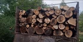 Իջևանի ոստիկանները ապօրինի ծառահատման դեպք են բացահայտել Իջևանի ոստիկանները ապօրինի ծառահատման դեպք են բացահայտել