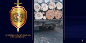 Գուգարքի և Դիլիջանի ոստիկանները ապօրինի ծառահատման դեպքեր են բացահայտել