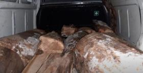 Թումանյանի ոստիկաններն ապօրինի ծառահատման հերթական դեպքն են բացահայտել Թումանյանի ոստիկաններն ապօրինի ծառահատման հերթական դեպքն են բացահայտել