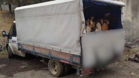 Հունվարի 12-ին ու 13-ին Գուգարքի ոստիկաններն ապօրինի ծառահատման դեպքեր են բացահայտել Հունվարի 12-ին ու 13-ին Գուգարքի ոստիկաններն ապօրինի ծառահատման դեպքեր են բացահայտել