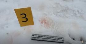 Ոսկեհասկ գյուղի բնակիչներին դանակահարած երիտասարդը կալանավորված է․Ախուրյանի ոստիկանների բացահայտումը Ոսկեհասկ գյուղի բնակիչներին դանակահարած երիտասարդը կալանավորված է․Ախուրյանի ոստիկանների բացահայտումը