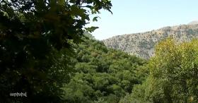 Չարաշահումներ «Խոսրովի արգելոց» ՊՈԱԿ-ում․ Արարատի ոստիկանների բացահայտումը Չարաշահումներ «Խոսրովի արգելոց» ՊՈԱԿ-ում․ Արարատի ոստիկանների բացահայտումը