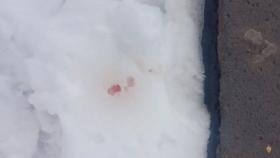 Գավառում պատանի է դանակահարվել․ տեղի ոստիկանների բացահայտումը Գավառում պատանի է դանակահարվել․ տեղի ոստիկանների բացահայտումը