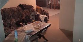 Շահումյան գյուղում 26-ամյա երիտասարդի են դանակահարել․ Վաղարշապատի ոստիկանների բացահայտումը Շահումյան գյուղում 26-ամյա երիտասարդի են դանակահարել․ Վաղարշապատի ոստիկանների բացահայտումը