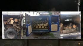 Գորիսի ոստիկաններն ապօրինի ծառահատման դեպքեր են բացահայտել Գորիսի ոստիկաններն ապօրինի ծառահատման դեպքեր են բացահայտել