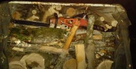 Կապանի և Գորիսի ոստիկաններն ապօրինի ծառահատման դեպքեր են բացահայտել Կապանի և Գորիսի ոստիկաններն ապօրինի ծառահատման դեպքեր են բացահայտել