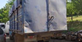 Ոստիկանության Գուգարքի բաժնի ծառայողներն ապօրինի ծառահատման դեպքեր են բացահայտել Ոստիկանության Գուգարքի բաժնի ծառայողներն ապօրինի ծառահատման դեպքեր են բացահայտել