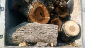 Կապանի ոստիկանները ապօրինի փայտանյութ են հայտնաբերել Կապանի ոստիկանները ապօրինի փայտանյութ են հայտնաբերել