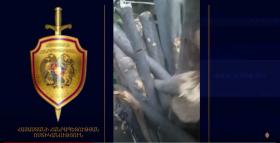 Գուգարքի ոստիկաններն ապօրինի ծառահատման դեպք են բացահայտել  Գուգարքի ոստիկաններն ապօրինի ծառահատման դեպք են բացահայտել