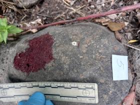 Բազմաղբյուր գյուղում երկու տղամարդ դանակահարել էին իրար. Աշտարակի ոստիկանների բացահայտումը Բազմաղբյուր գյուղում երկու տղամարդ դանակահարել էին իրար. Աշտարակի ոստիկանների բացահայտումը