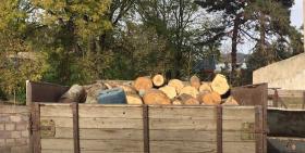 Ապօրինի հատել էր 111 հատ ծառ. ոստիկանության բացահայտումը Ապօրինի հատել էր 111 հատ ծառ. ոստիկանության բացահայտումը