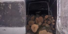 Գորիսի ոստիկաններն ապօրինի ծառահատման դեպքեր են բացահայտել  Գորիսի ոստիկաններն ապօրինի ծառահատման դեպքեր են բացահայտել