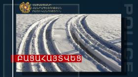 Արջի քոթոթն ընկել էր ինքնաշեն թակարդն ու սատկել Արջի քոթոթն ընկել էր ինքնաշեն թակարդն ու սատկել