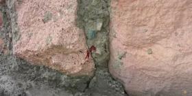 Դանակահարել էր համագյուղացուն. Ստեփանավանի ոստիկանների բացահայտումը Դանակահարել էր համագյուղացուն. Ստեփանավանի ոստիկանների բացահայտումը