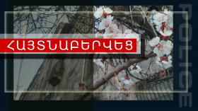 Բնակարաննի խուզարկությամբ զենք-զինամթերք և թմրամիջոց է հայտնաբերվել