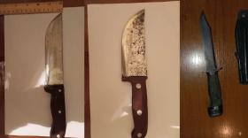 Սիսիանում և Մեղրիում իրականացված ուժեղացված ծառայության արդյունքները Սիսիանում և Մեղրիում իրականացված ուժեղացված ծառայության արդյունքները