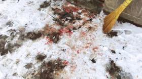 Արթիկի ոստիկանները դանակահարության դեպք են բացահայտել Արթիկի ոստիկանները դանակահարության դեպք են բացահայտել