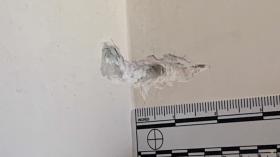 Հրացանից կրակել էր համագյուղացու պատուհանին. Մեծամորի ոստիկանների բացահայտումը Հրացանից կրակել էր համագյուղացու պատուհանին. Մեծամորի ոստիկանների բացահայտումը