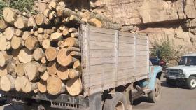 Գորիսի ոստիկաններն ապօրինի փայտանյութով բեռնատարներ են հայտնաբերել