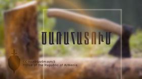 Պարեկները ապօրինի ծառահատման դեպք են բացահայտել Պարեկները ապօրինի ծառահատման դեպք են բացահայտել