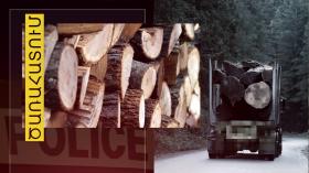 Ապօրինի ծառահատումներ Ծաղկաձոր համայնքում Ապօրինի ծառահատումներ Ծաղկաձոր համայնքում