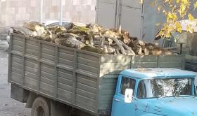 Ապօրինի ծառահատումների դեմ Գորիսի ոստիկանների պայքարի հերթական դրվագը Ապօրինի ծառահատումների դեմ Գորիսի ոստիկանների պայքարի հերթական դրվագը