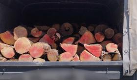 Ճամբարակի ոստիկանները փայտանյութով բեռնված մեքենաներ են հայտնաբերել Ճամբարակի ոստիկանները փայտանյութով բեռնված մեքենաներ են հայտնաբերել