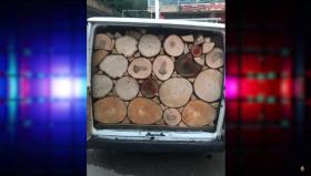 Դիլիջանի ոստիկանները ապօրինի ծառահատման դեպքեր են բացահայտել Դիլիջանի ոստիկանները ապօրինի ծառահատման դեպքեր են բացահայտել