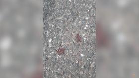 22-ամյա երիտասարդների վեճն ավարտվել էր դանակահարությամբ 22-ամյա երիտասարդների վեճն ավարտվել էր դանակահարությամբ