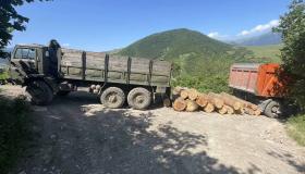 Իջևանի ոստիկանները ապօրինի ծառահատման դեպք են բացահայտել  Իջևանի ոստիկանները ապօրինի ծառահատման դեպք են բացահայտել