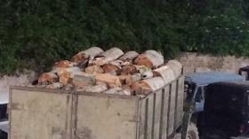 Տավուշի ոստիկանները ապօրինի ծառահատման դեպքեր են բացահայտել Տավուշի ոստիկանները ապօրինի ծառահատման դեպքեր են բացահայտել