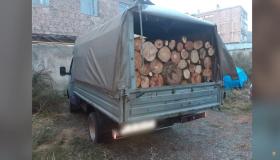 Վարորդը ներկայացրել է ժամկետանց փաստաթղթեր․ Ճամբարակի ոստիկանները բացահայտել են ծառահատման դեպք Վարորդը ներկայացրել է ժամկետանց փաստաթղթեր․ Ճամբարակի ոստիկանները բացահայտել են ծառահատման դեպք