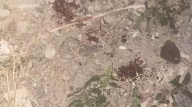 Սպանություն Կոնդում. 28-ամյա երիտասարդը ձերբակալվել է Սպանություն Կոնդում. 28-ամյա երիտասարդը ձերբակալվել է