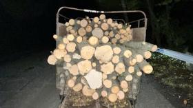 Տավուշի ոստիկանները ապօրինի ծառահատման դեպք են բացահայտել Տավուշի ոստիկանները ապօրինի ծառահատման դեպք են բացահայտել