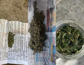 Արմավիրի մարզային վարչության քրեական հետախույզներն ապօրինի թմրանյութ պահելու և կանեփ աճեցնելու դեպքեր են բացահայտել Արմավիրի մարզային վարչության քրեական հետախույզներն ապօրինի թմրանյութ պահելու և կանեփ աճեցնելու դեպքեր են բացահայտել