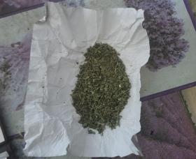 Վաղարշապատի ոստիկաններն ապօրինի թմրանյութ պահելու և օգտագործելու դեպք են բացահայտել Վաղարշապատի ոստիկաններն ապօրինի թմրանյութ պահելու և օգտագործելու դեպք են բացահայտել