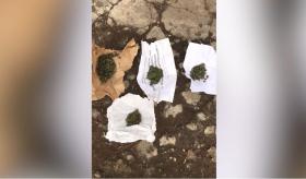 Կես կիլոգրամից ավելի մարիխուանա և կանեփանման բույսեր. Արմավիրի բաժնի քրեական հետախույզների բացահայտումը  Կես կիլոգրամից ավելի մարիխուանա և կանեփանման բույսեր. Արմավիրի բաժնի քրեական հետախույզների բացահայտումը