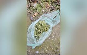 Վաղարշապատի ոստիկանների պայքարը թմրամոլության և ապօրինի թմրաշրջանառության դեմ Վաղարշապատի ոստիկանների պայքարը թմրամոլության և ապօրինի թմրաշրջանառության դեմ