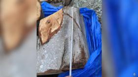 Տավուշի համայնքային ոստիկանները հայտնաբերել են ապօրինի ծառահատման դեպք Տավուշի համայնքային ոստիկանները հայտնաբերել են ապօրինի ծառահատման դեպք