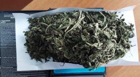 Թմրամոլության դեմ Աշոցքի քրեական հետախույզների և Շիրակի պարեկների պայքարից մեկ դրվագ Թմրամոլության դեմ Աշոցքի քրեական հետախույզների և Շիրակի պարեկների պայքարից մեկ դրվագ